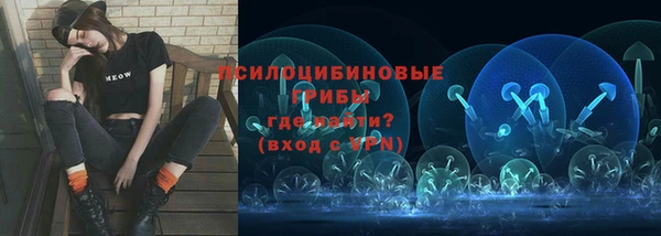 мдпв Армянск
